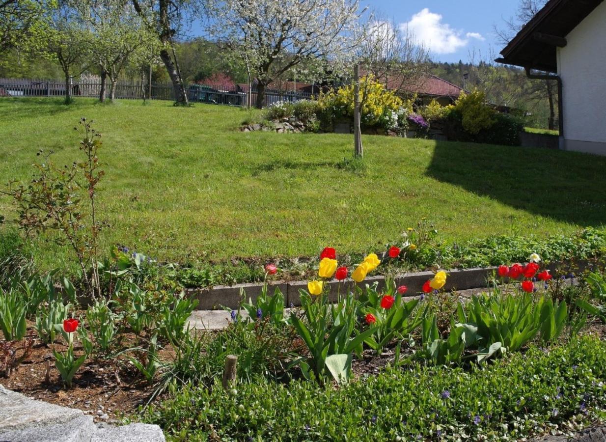 Ferienhaus Bayerwald 린겔라이 외부 사진